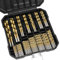 Metall-Spiralbohrer-Set, titanbeschichtet 4241 HSS 135 ° Spitze metrische Bohrer Größe 1,5-10 mm für Holzbearbeitung, Kunststofflöcher (99Pcs-Case)