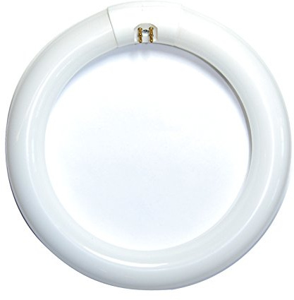 Satco FC8T9/WW 22 WATT WARM WHITE