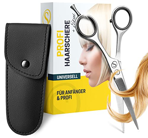 SCHMIEDWERK Haarschere | Friseurschere - scharfer & präziser Schnitt | Perfekter Haarschnitt für Damen & Herren | Profi Haarschneideschere mit Etui (Silber)