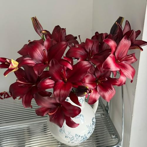 Semillas de Begonias,Jardín interior,Decoración de repisa 50pcs