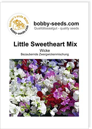 Blumensamen Little Sweetheart Mix Zwergwicke Portion