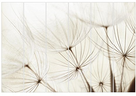 Bilderwelten Schiebegardinen Sanfte Gräser - 6 Flächenvorhänge Deckenhalterung 6X 250x60cm