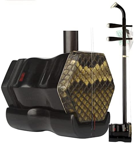 Erhu Violon chinois à double cordes – Kit débutant avec étui pour piano, archet et accessoires pour la collection Erhu – Noir ébène