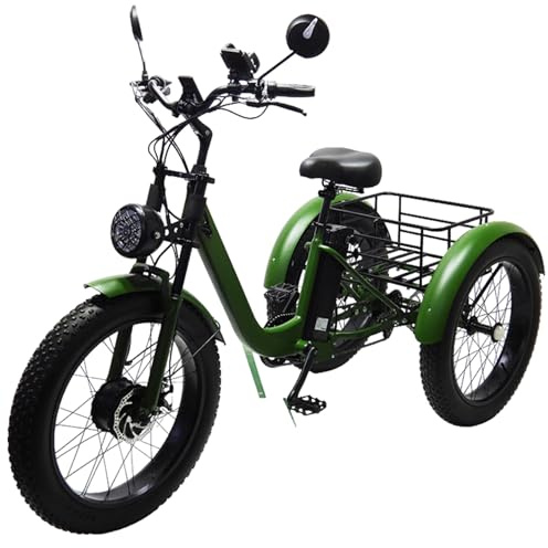 EaThsalL Triciclo Electrico Adultos De Tres Ruedas 3 Ruedas Bicicletas de neumáticos Anchos para Ciclistas de 200 kg para Adultos de Alta Resistencia con Canasta de Gran Capacidad