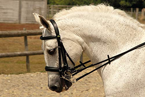 Rhinegold Double Comfort Bridle - Pony - Black