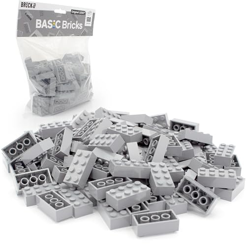 BRICK Flip Lego Lot de 100 pierres classiques 2 x 4 blocs de construction individuels en grand paquet, pour plaque et boîte Lego, jeu de débutants, briques de base (3001) Gris clair