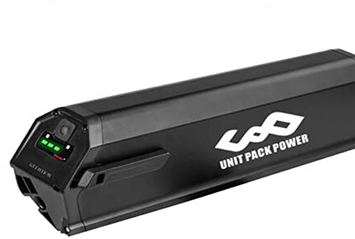 Dorado eBike Akku - 48V 20Ah Reention Elektrofahrrad Akku für 500W 750W 1500W 1000W NCM Fahrrad -Akku für Yukon750/Reention/DLG/NCM/Moscow/Dorado INR