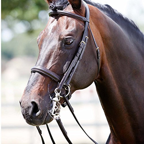 Tattini Bridons pour Cheval Mors et Filet