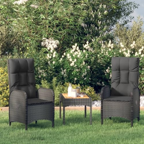 Homgoday Trädgårdsstolar set 2 stycken poly rotting svart, 57 x 62,5 x 109 cm, för utomhusbruk