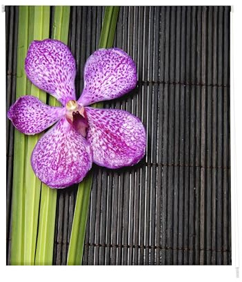 Estoralis | Zen | Estor Enrollable Diseño Moderno | Translúcido Estampado Digital | Modelo Z-1061 | 130 x 255 cm (Ancho/Alto) Tamaño Tela 127 x 250 cm | Estores para Ventanas y Puertas