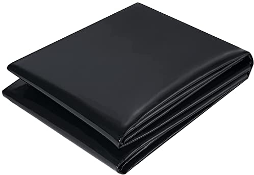 PALUDO PVC Teichfolie 2M X 2M, Schwarz HDPE Teichfolien Schwerlast, Dichtungsfolie Teichmembran Schwimmteich Folie Gartenteich Teichplane für Fischteiche, Brunnen, Wassergarten und Wasserfall