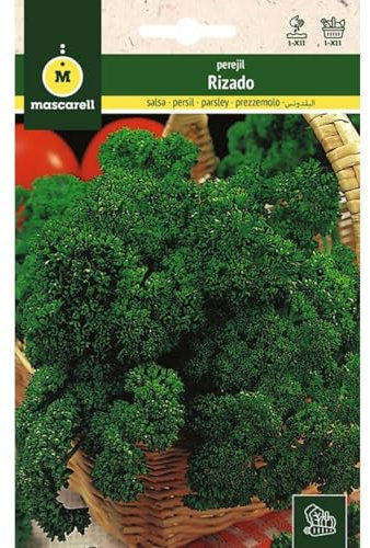 Mascarell Semillas, PEREJIL, Semillas Huerto, PEREJIL RIZADO, Crea tu Propio Huerto Urbano y Cultivo en Casa, Plantas Hortícolas, 8 Gramos