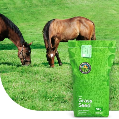 MRS Horse Elite Mix: Mélange Prairie Universelle - 1 kg pour 100 m² - Idéal pour les chevaux et le petit bétail - Convient aux pâtures et aux grands espaces - Facile à entretenir - Couverture rapide