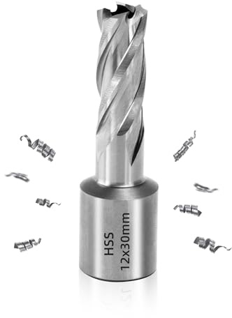 ITSOGOO Ø 12 mm HSS Ringformade Bitar,Borrdjup 30 mm,19 mm Weldon-Skaft,Kärnborr HSS,Tillbehör för Magnetisk,Metallborrning för Stål, Aluminium, Koppar