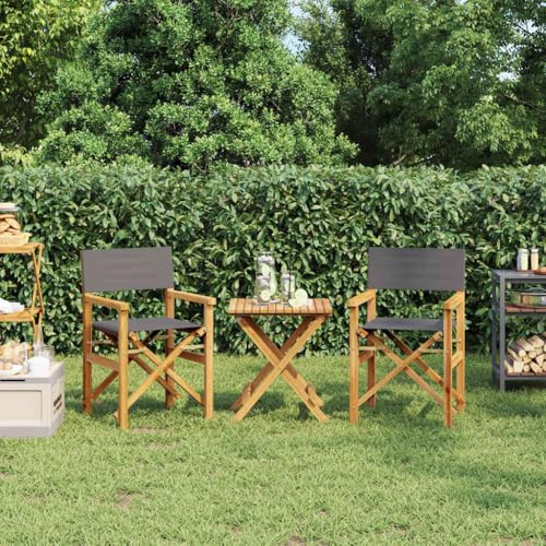 Gecheer Sillas Director Madera, sillas Plegables Exterior. Robustas y Ligeras, con Asiento cómodo y reposabrazos jardín, balcón o Camping. Estructura de Roble Resistente, fácil almacenaje.