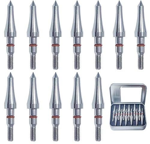 Field Points arrowheads 100 Grains Archery Field Points, 5/16 Stainless Steel Screw in Archery Field Tips and Broadheads (1 Dozen 12 PCS)