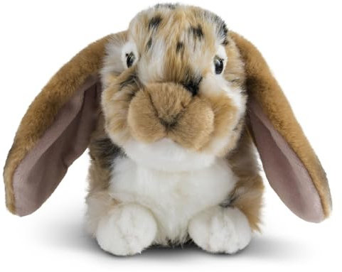 Living Nature Brown Dutch Lop Eared Rabbit Stuffed Animal Plush Toy | Fluffy Rabbit Animal | Soft Toy Gift for Kids | Boys and Girls Stuffed Doll | Naturli Eco-Friendly Plushies | 26 cm