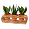 DekoBuzz Pflanzenregal aus massivem Holz mit 3 Plastik Übertöpfen (7,4 cm) | Blumenständer im Wandvase Design | Holz Deko für Tisch, Zimmer & Balkon | 1er-Set