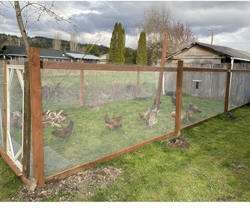 Tela De Ferretería, Malla Metálica Soldada De Acero Inoxidable, Malla Metálica para Jardín Rollo De Valla para Pajarera para Barrera De Animales, Prevenir A Través De(1.9|50x50mm,1.5x5m)