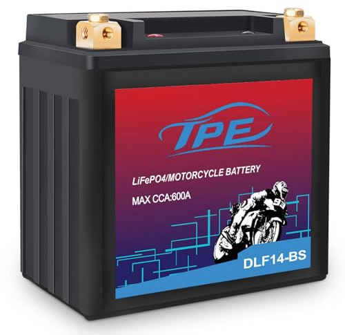 MOUDENSKAY Litio Motocicleta Batería 12V Litio Powersports con BMS, 8AH 600CCA YTX14-BS LiFePO4 Motor de arranque de la batería para motocicletas, ATV, UTV, motos de nieve y más