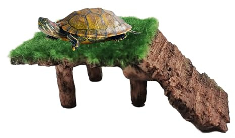 Piattaforma per il Basking delle Tartarughe Terrazza Nascondiglio per