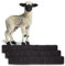 BigDean 3X Zugluftstopper für Türen 80cm - 100% Schurwolle - Anthrazit - Türluftstopper Luftzugstopper Windstopper - Made in Germany