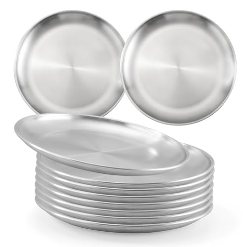 Aramanara 10 platos llanos de acero inoxidable de 20 cm, platos redondos plateados, platos de metal para camping, barbacoa, picnic, horneado