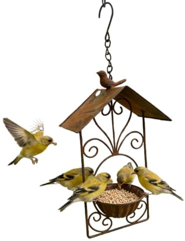 Mangeoire Oiseaux Sauvages Gamelle Jardin Imperméable Oiseaux Sauvages