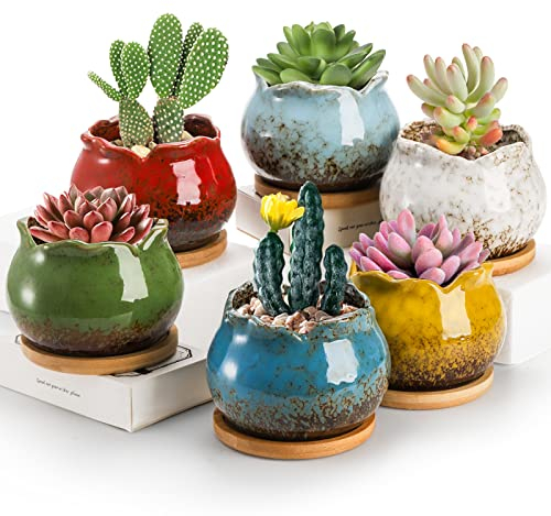 TOPZEA Set of 6 Succulent Planters, 10.2 cm (4 inches) Glazed Ceramic Pot for Plants, Succulent Planter with Drainage and Saucer, Mini Bonsai Planter, Flower Pot for Succulents, Cactus