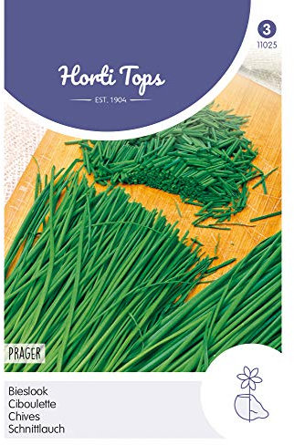 Hortitops 11025 Ciboulette Prague (graines de ciboulette)