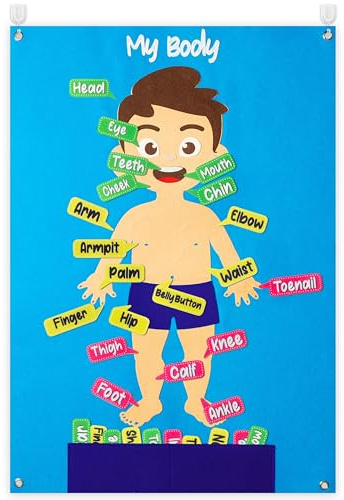 WATINC 35Pcs Body Parts Learning Felt Story Board Set Preschool Human Organ Educational Teaching Storytelling Early Learning Interactive Play Kit Wall Hanging Gift for Toddlers Kids 41 x 30 Inch