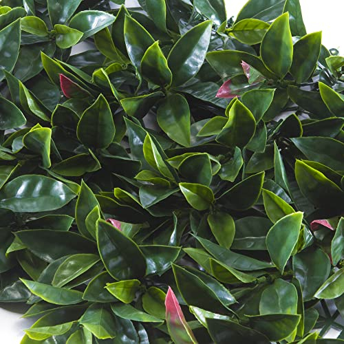 Tenax Divy 3D Panel Photinia 0,50 x 0,50 m Vert-Rouge, Panneau Modulaire en Feuilles de Photinia Artificielles pour Décoration Murale et Jardin Vertical