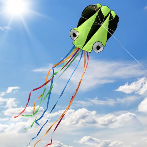 XIMEY Aquilone Professionale 5,5m - Polpo Grande Arcobaleno Coda Lunga