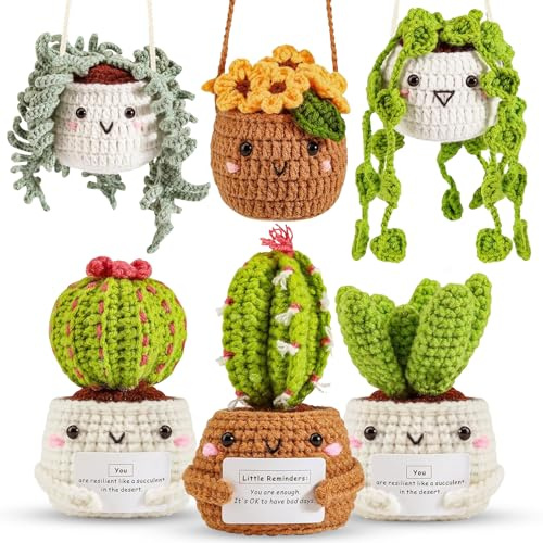 ASTNIC Kit de crochet para principiantes, 6 Piezas de Plantas Colgantes en Maceta y Suculentas con Tutoriales en Video Paso a Pas, Kit Completo Crochet DIY y Tejido a Mano Manualidades