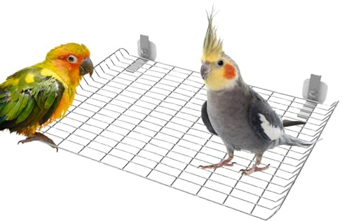 Perchas para Loros - Perchas De Acero Inoxidable para Jaulas De Aves | Entorno de Ejercicio y Juego para Loritos, Canarios, Cacatúas y Ninfas en Tamaños Pequeño, Mediano y