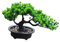 perfk Bonsai Baum für Die Inneneinrichtung Und Gartenbereich, Höhe 19cm