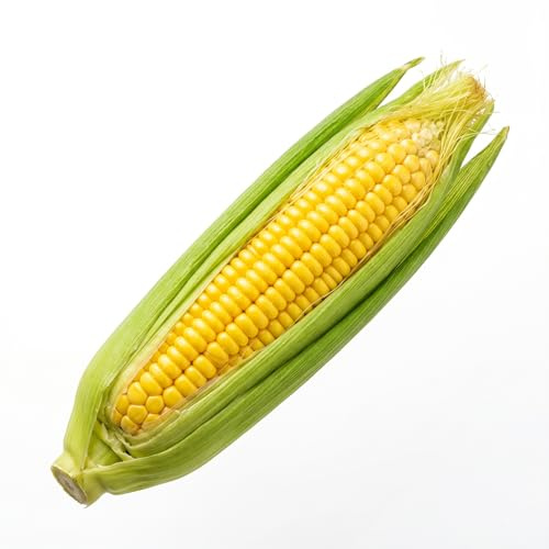 Semi di Mais Dolce Alta Germinazione | Semi Ortaggi per Orto e Giardino | Mais Tenero e Dolce da Coltivare in Casa e Balcone | Facile da Piantare, Raccolto Naturale