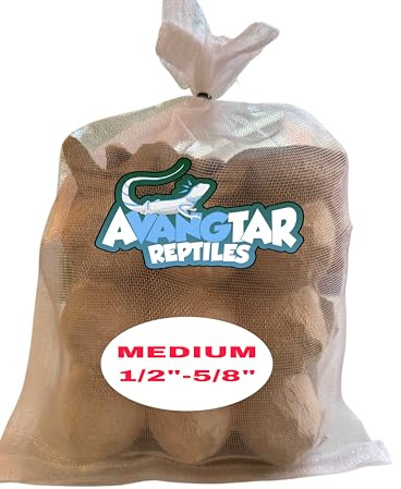 Avangtar Reptiles 100 Medium Dubia Roaches (1/2-5/8) – Nutritious Feeder Insects for Bearded Dragons