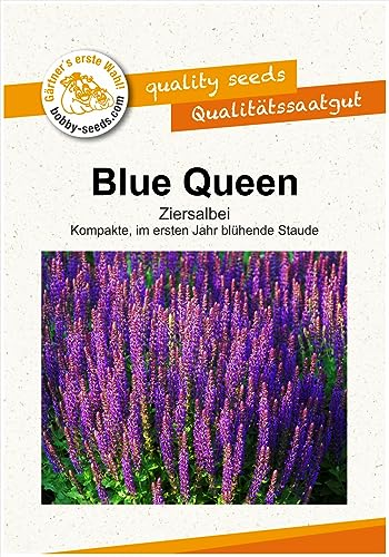 Blumensamen Blue Queen Salbei Portion