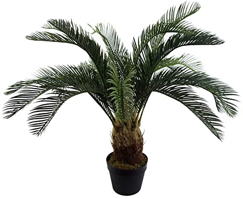 Leaf Design UK - Palma artificiale grande, 80 cm, Cycas Tropical