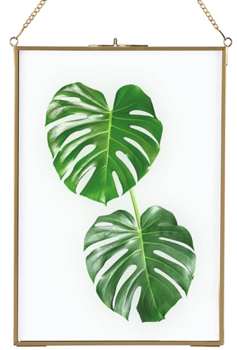 Homtone 21x30 cm Glasrahmen für Wand, Schwebender Displayrahmen, Hängender Glas-Bilderrahmen, Reines Kupfer Presse Glasrahmen für Blumen Muster Pflanzen, Foto DIY Kunstwerk