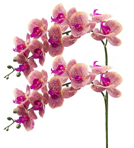 CXGS Artificial Orchid Flower 9 Large Petals Realistic Latex Faux Orchids 2PCS 37in Orchid Stems Purple Dapple Fake Phalaenopsis Flower for Wedding Home Arrangement Décor
