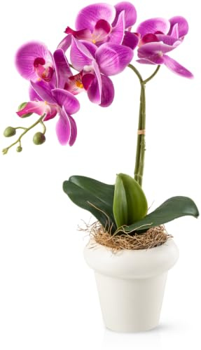 PASCH® orkidéer konstgjorda i högglansiga keramiska krukor (46 cm) | konstgjorda blommor i kruka | konstgjorda blommor som riktiga | konstgjorda orkidéer i kruka (lila)