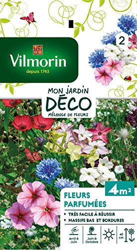 Vilmorin 5862942 Fleur parfumée, Multicolore, 90 x 2 x 160 cm