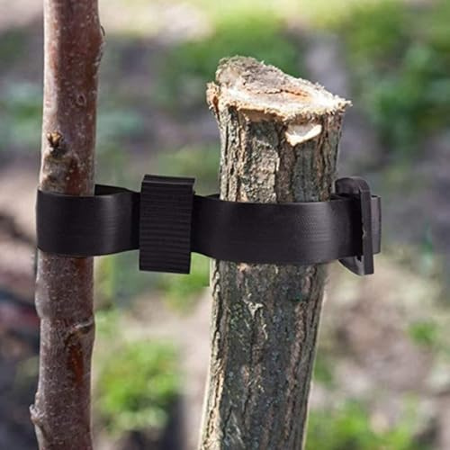 Snowchecking Lot de 8 sangles d'arbre, attaches robustes en caoutchouc réglables pour plantes, arbustes (45 x 2,5 cm)