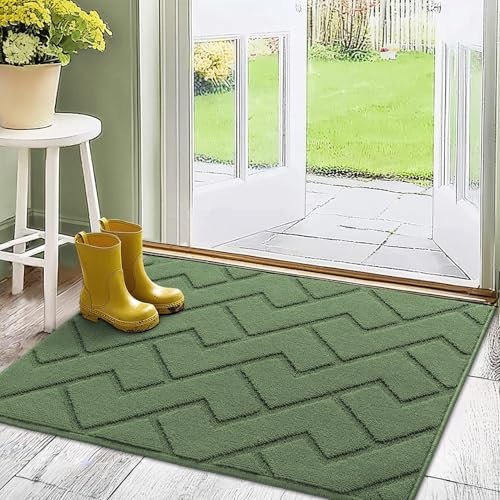 Biscpro Door Mat, 80x100 cm DoorMat Indoor Washable, Doormat Indoor Dirt Trapper Non-slip,Absorbent Inside Entrance Rug Mat for Entryway,Patio,Garden,Laundry Room,Pets - Green
