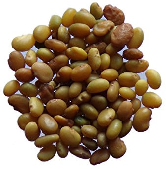 Hopfenkleesamen – 3 g (grüner Dünger)