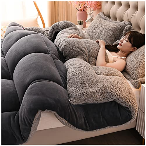 ZTGL ÉDredon Chaude en Hiver, Couette en Duvet, Couvertures d'hiver épaisses et Chaudes, Chaude Gonflant éPaisse Édredon, Couette 2 Personne Laine Luxueuse Anti-Allergique