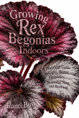 Growing Rex Begonias Indoors: A Practical Guide to Light, Water, Humidity, Seasonal Rest, and Renewal
