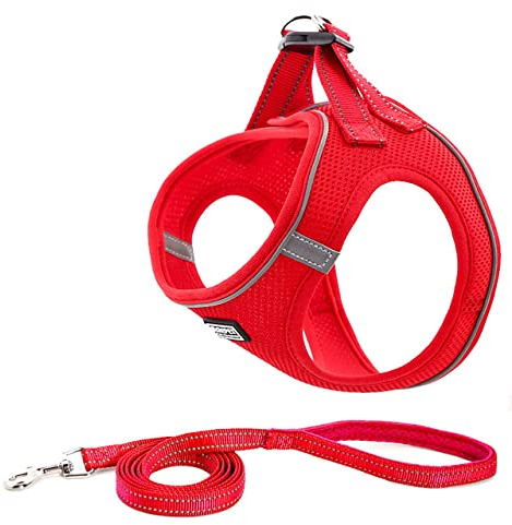 Weißes Hundegeschirr und Leine Set Extra klein kein Ziehen reflektierendes atmungsaktives Welpengeschirr Hund Nylon 1,4m Leine Nylon,rot,XXS